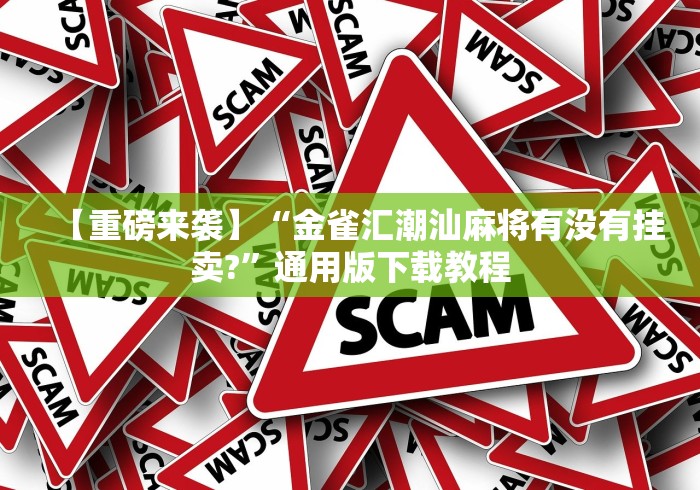 【总结文章“陕西微乐挖坑为什么老输”详细分享装挂步骤