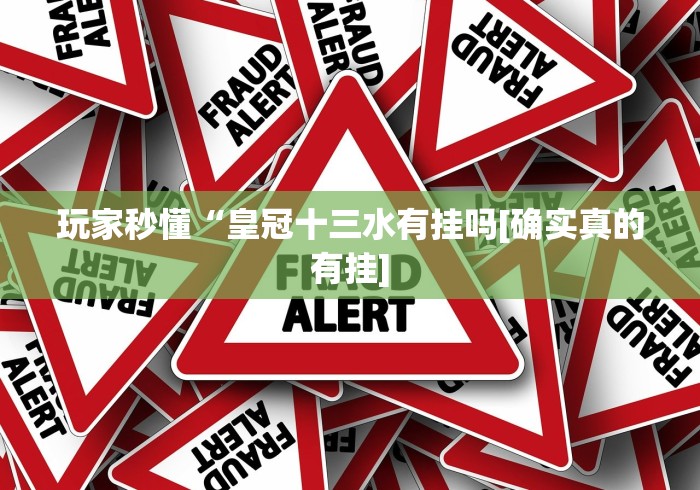 必备科技“黑龙江麻将技巧”(透视挂)详细用法教程