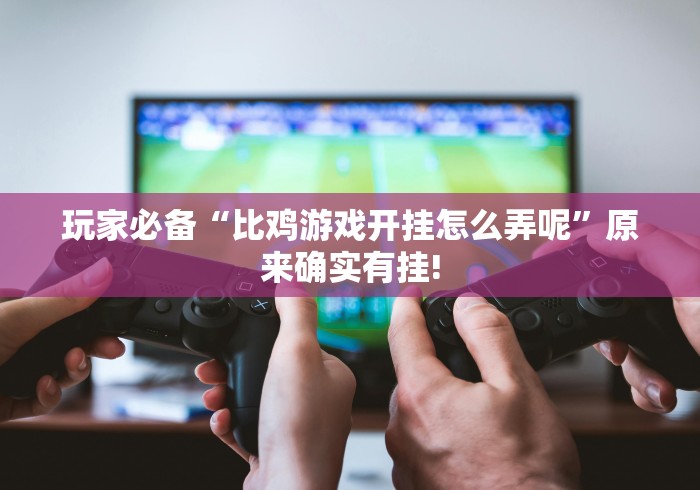 辅助盘点“欢乐茶坊有挂吗”(果然有透视挂) 