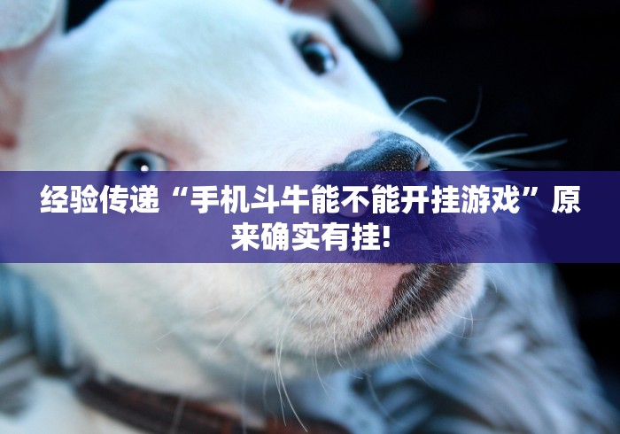 五分钟了解"微乐河南麻将小程序万能挂免费版游戏亮点	”(透视曝光猫腻)