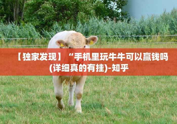 我来告诉你	”微乐麻将小程序开挂视频”(曝光透视必备猫腻)