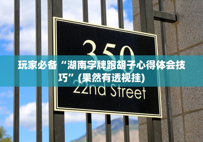 可用版本“四川游戏家园开挂神器!详细开挂教程