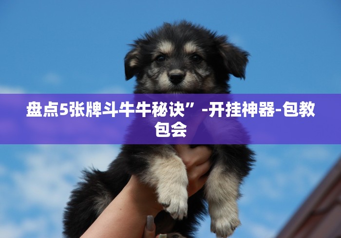 [推荐]“越乡游十三水有挂吗	”原来有神器下载