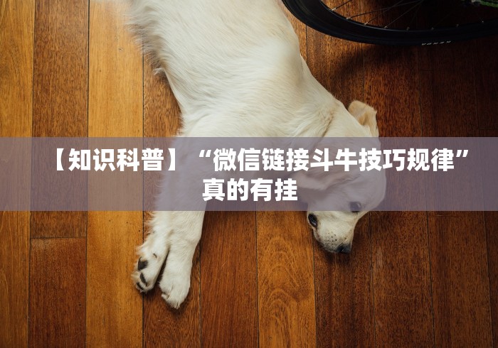 【玩家必看实操】“9点麻将怎么弄才能赢”其实确实有挂