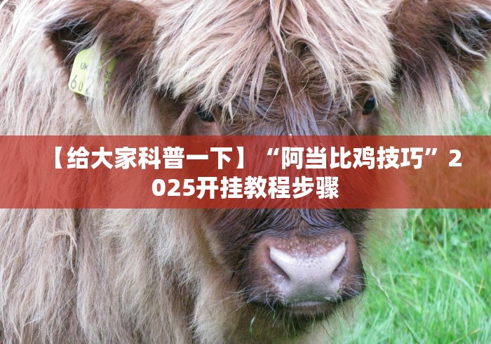 最新一款“划水麻将的打法和技巧”附开挂脚本详细步骤