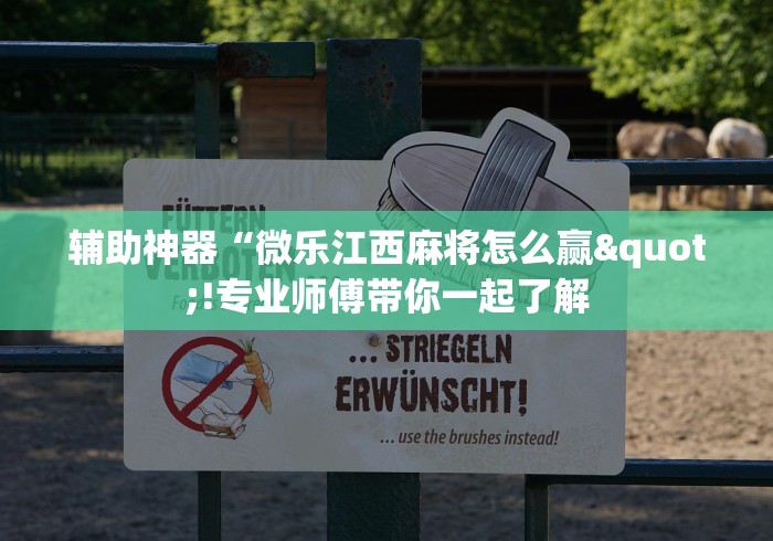 大神揭秘“微乐麻将万能开挂器是真的吗	”揭秘透视辅助万能挂