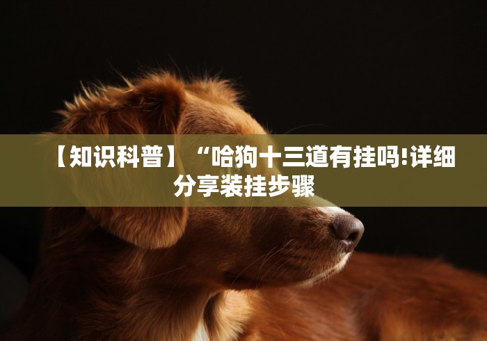 玩家辅助神器:“微乐甘肃麻将有挂吗	”详细辅助透视