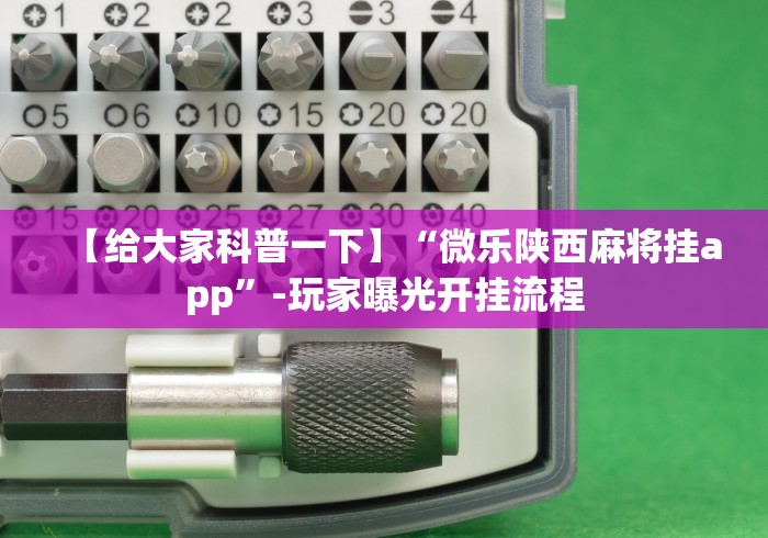 玩家辅助神器“微乐踢大坑透视”附开挂脚本详细教程