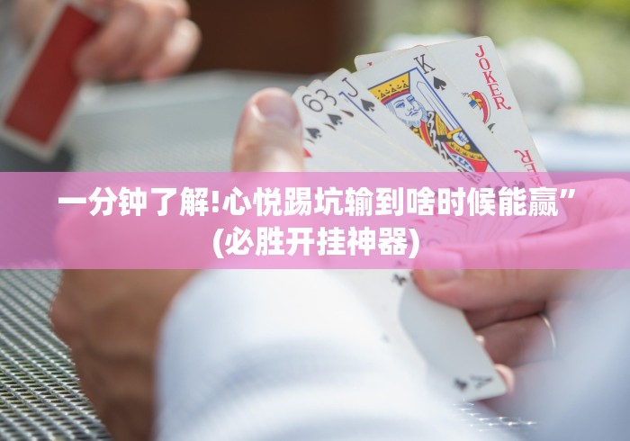 玩家必学攻略“优优乐暗堡透视辅助工具	”详细外挂安装步骤
