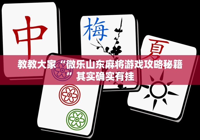 实操教程“打罗松为啥老是输?玄学在哪”详细开挂安装教程