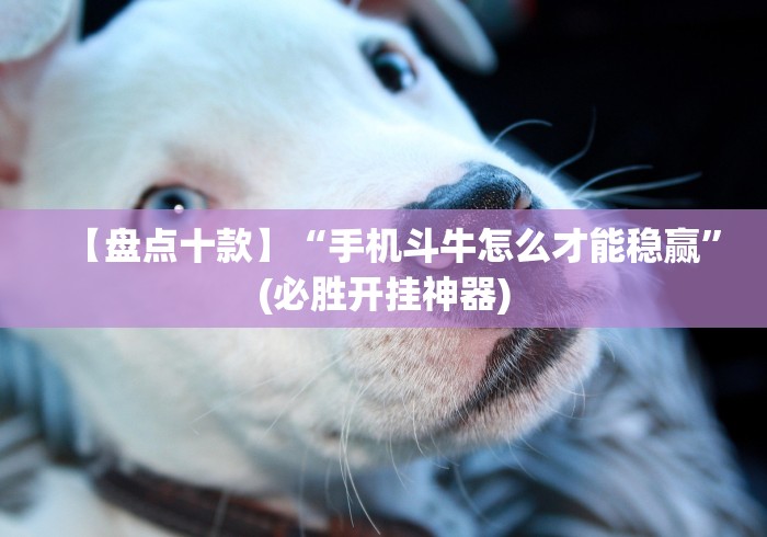 2026最新助赢神器“欢聚麻将开挂教程视频”(透视)辅助透视教程