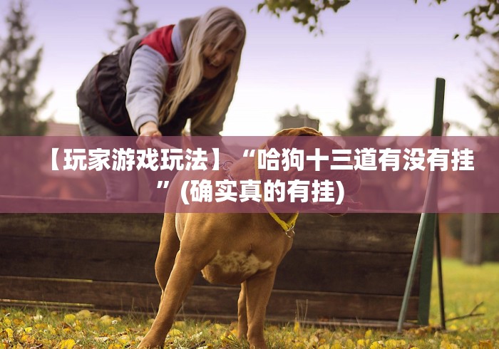 玩家必备十款微乐微信小程序开挂”作弊挂(辅助外挂+教程)