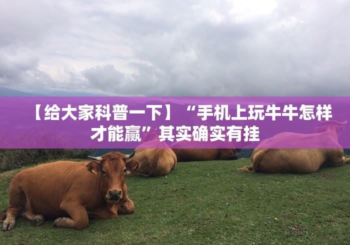 专家分析“钱塘十三水有没有开挂”(透视)辅助透视教程