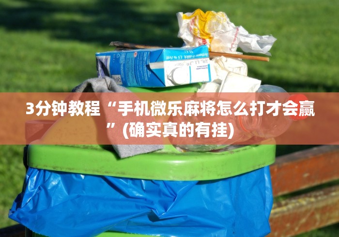 辅助挂机软件“微乐捉鸡开挂神器	”(透视)开挂详细教程