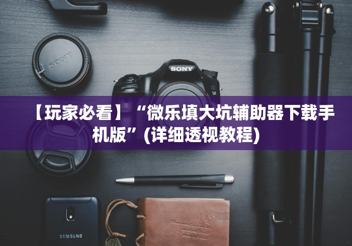 教程辅助“哥哥跑得快开挂”附透视挂详细教程