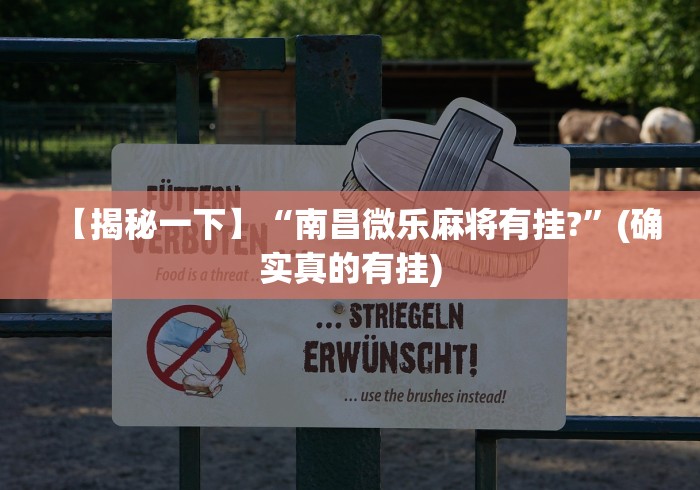 一分钟介绍应用“打十三水老是输是什么原因	”通用版下载教程!