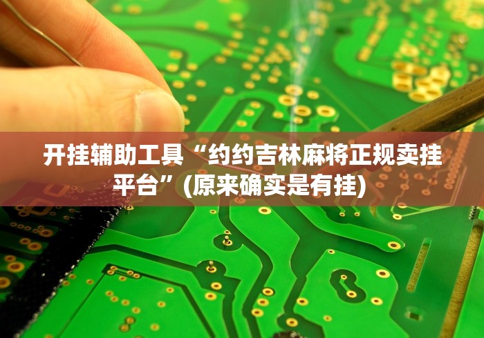 1分钟科普“微乐河北麻将挂多少钱”(透视挂)详细用法教程