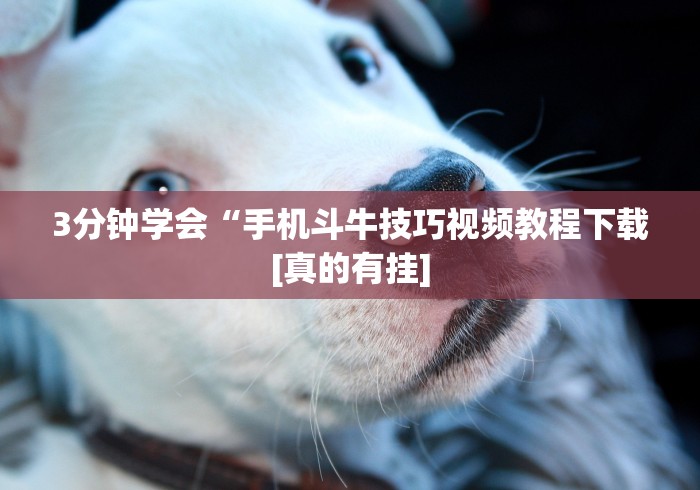玩家最新攻略“哥哥杭州麻将可以开挂吗”详细开挂教程