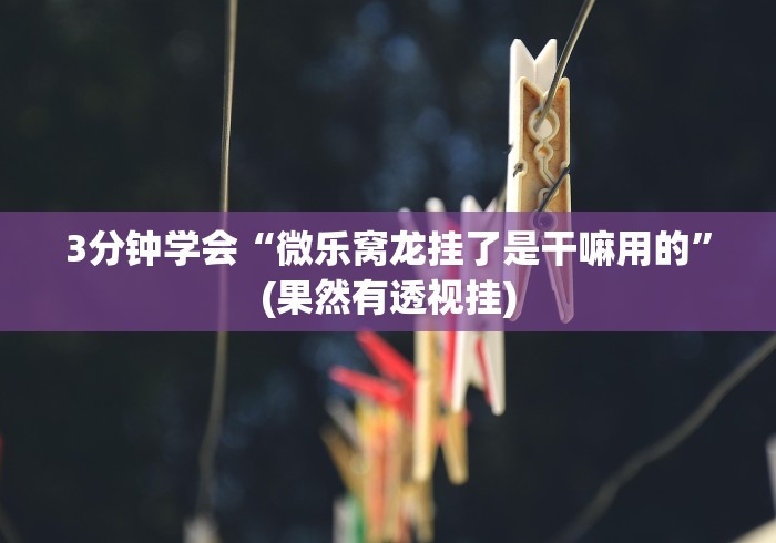 3分钟学会“微乐窝龙挂了是干嘛用的”(果然有透视挂)