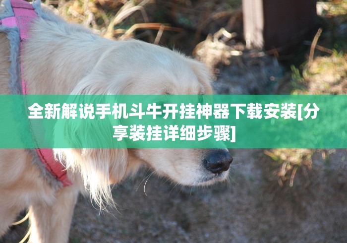 4分钟了解“终于知道微乐跑得快能开挂吗”揭秘透视辅助万能挂用法