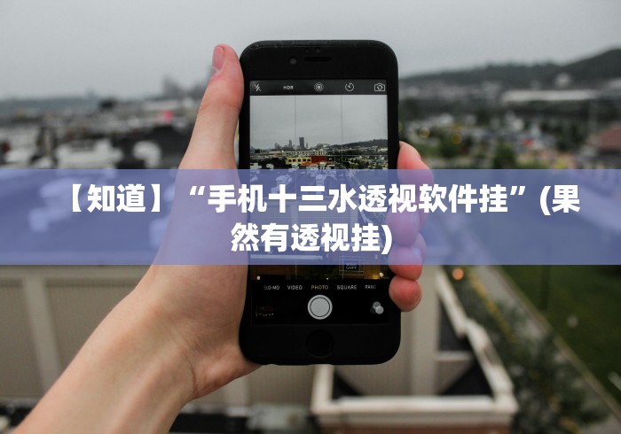 【知道】“手机十三水透视软件挂”(果然有透视挂)