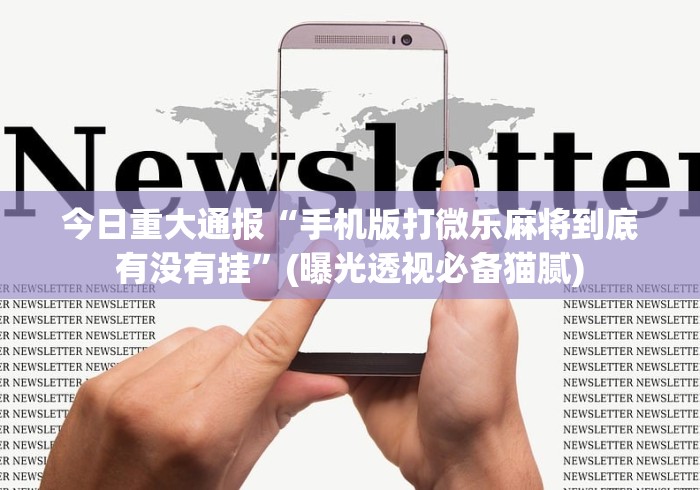 实操教程“十三张有没有挂?”开挂(透视)辅助