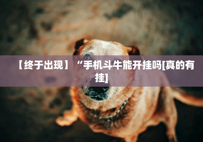 [实测]“微信上跑得快可以开挂吗”详细辅助软件教程