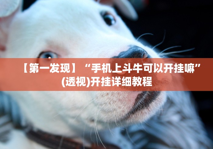 4分钟了解“星悦麻将外卦神器”通用版下载教程