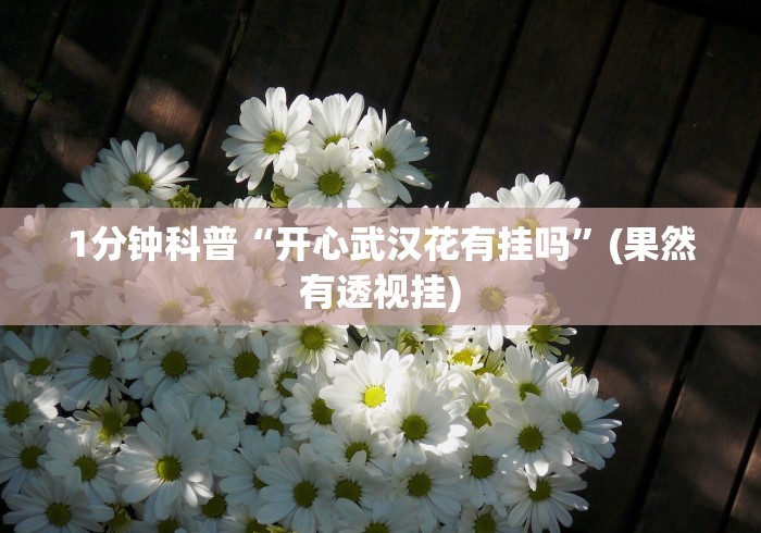 1分钟科普“开心武汉花有挂吗”(果然有透视挂)