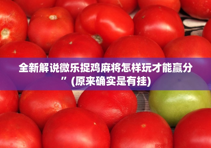 真实辅助“正宗乐平麻将有挂吗”作弊挂(辅助外挂+