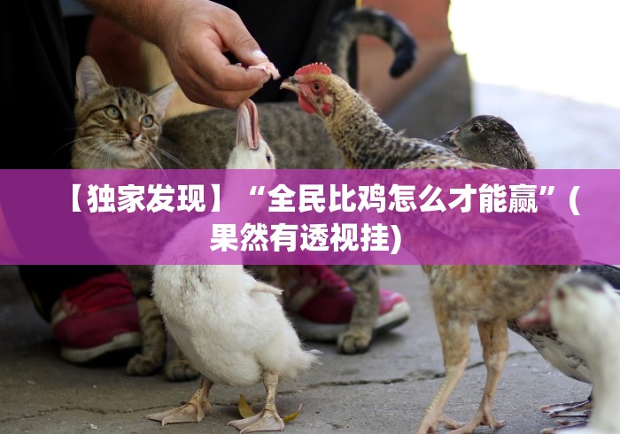 玩家必学攻略“爱摩罗麻将怎么开挂(真的有挂)