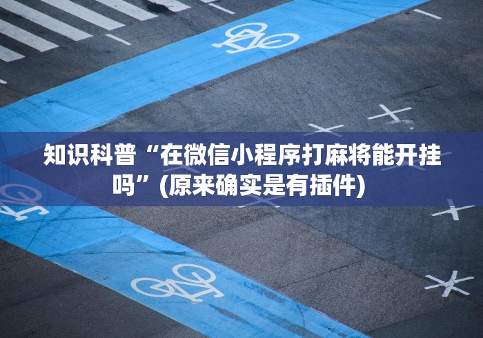 知识科普“在微信小程序打麻将能开挂吗”(原来确实是有插件) 