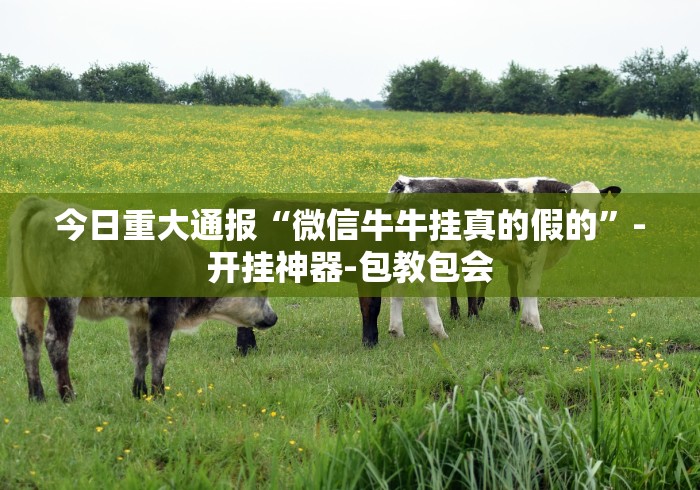 【头条新闻】“同城游贵阳捉鸡麻将.有挂吗可以开挂吗”(确实是有挂)知乎