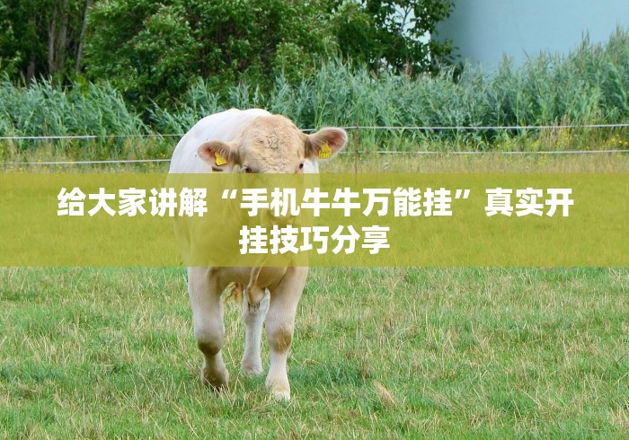 必备教程“开心十三张可以开挂吗	”辅助挂下载