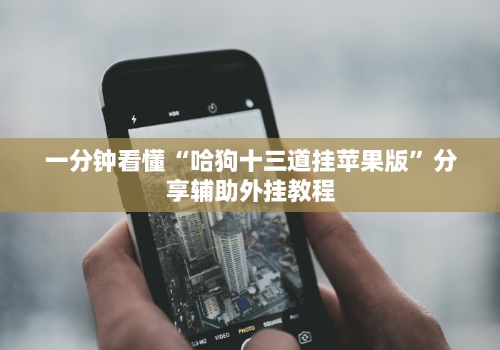 一分钟看懂“哈狗十三道挂苹果版	”分享辅助外挂教程
