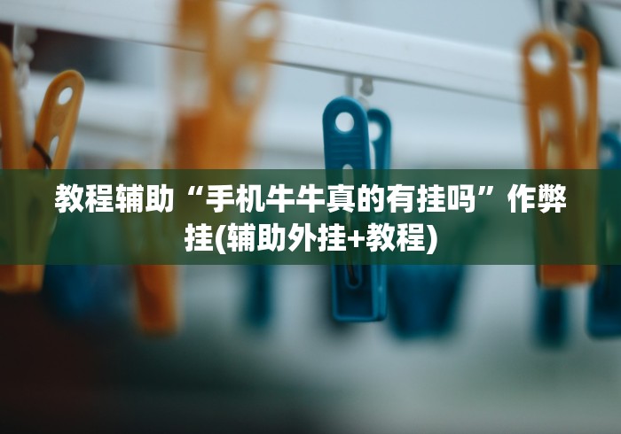 查到实测辅助“盛世棋牌有挂吗”作弊挂(辅助外挂+