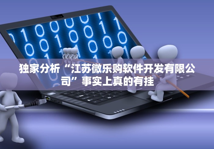 独家分析“江苏微乐购软件开发有限公司”事实上真的有挂