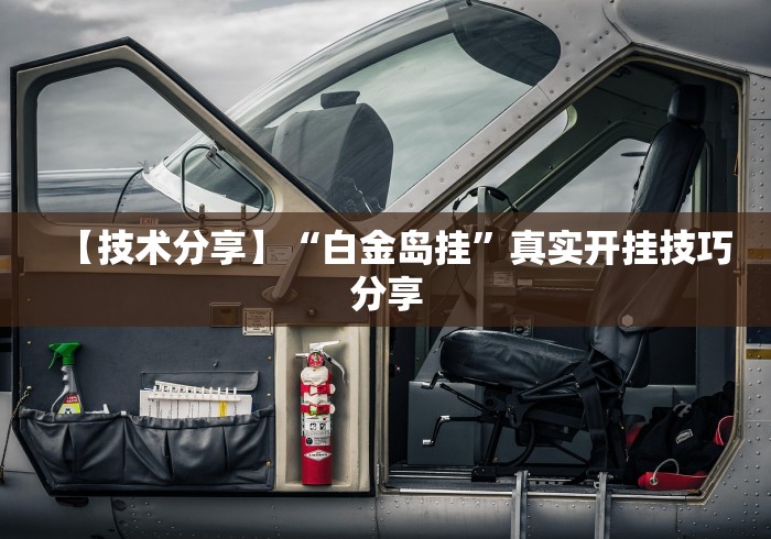 终于懂了“雀神麻将开挂神器下载”有挂详细开挂教程