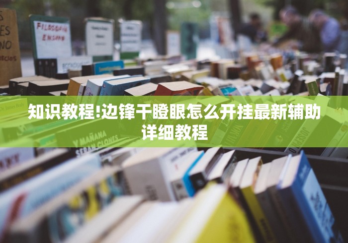 知识教程!边锋干瞪眼怎么开挂最新辅助详细教程