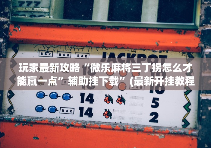 玩家最新攻略“微乐麻将三丁拐怎么才能赢一点	”辅助挂下载”(最新开挂教程)