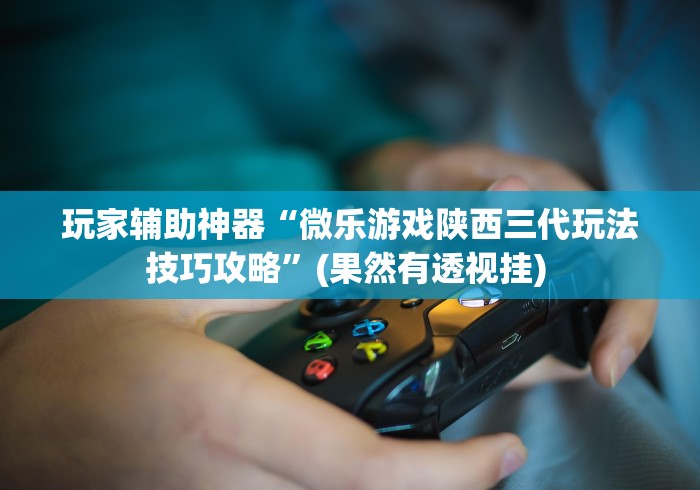 玩家辅助神器“微乐游戏陕西三代玩法技巧攻略”(果然有透视挂) 