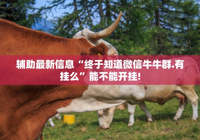 重大消息“手机十三张怎么拿好牌子[真的有挂]