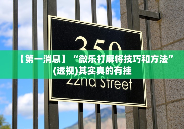 【第一消息】“微乐打麻将技巧和方法”(透视)其实真的有挂