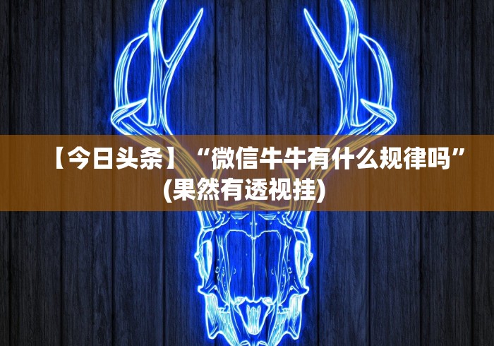 辅助挂机软件“填大坑软件赢钱”(果然有透视挂) 