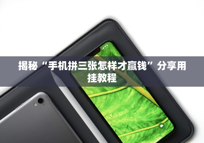 揭秘“手机拼三张怎样才赢钱”分享用挂教程