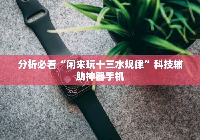 分析必看“闲来玩十三水规律”科技辅助神器手机