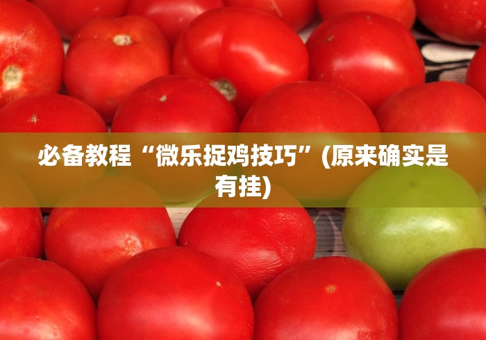必备教程“微乐捉鸡技巧”(原来确实是有挂)