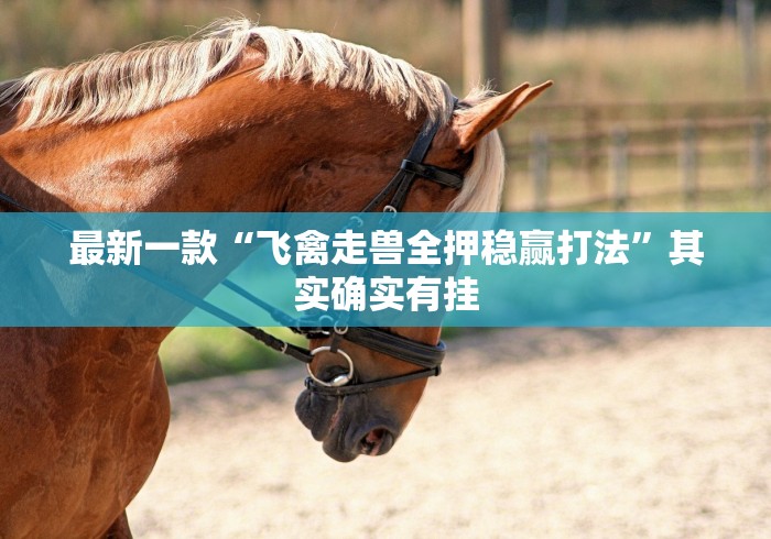 全新解说四方麻将怎么开挂(透视)”开挂(透视)辅助教程