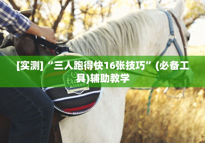 简单学会“微乐填大坑有什么技巧”开挂辅助脚本+详细