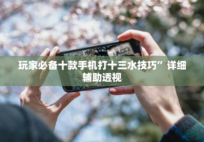 玩家必备十款手机打十三水技巧	”详细辅助透视